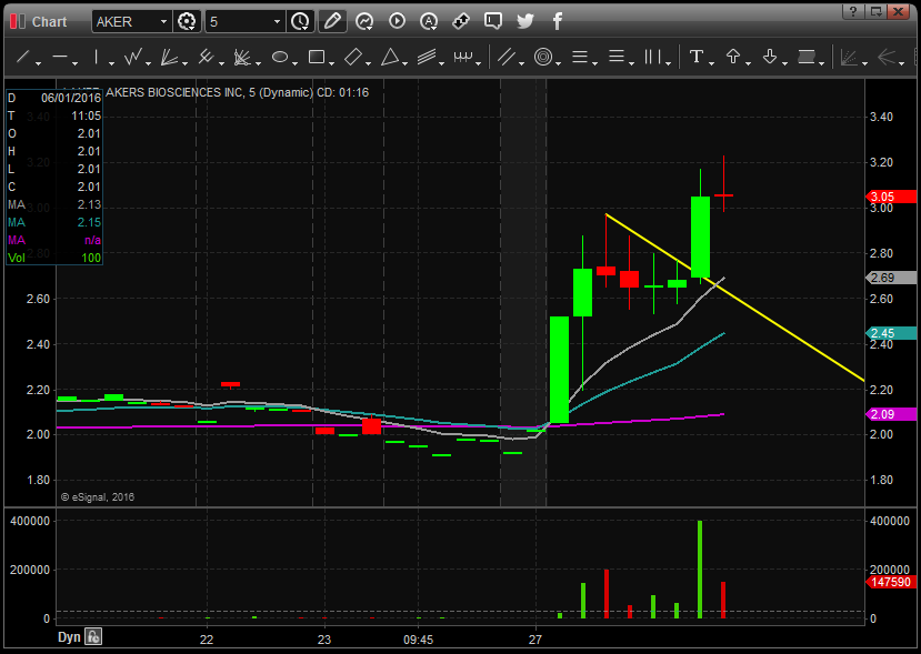 More bull flag examples